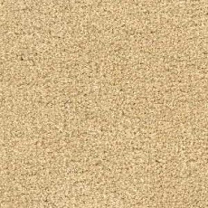 Ковролин Radici Admiral Vanilla 2229 фото 1 | FLOORDEALER